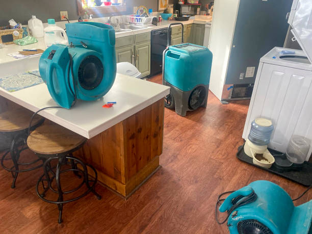 Best Water damage restoration near me  in Somerset, TX