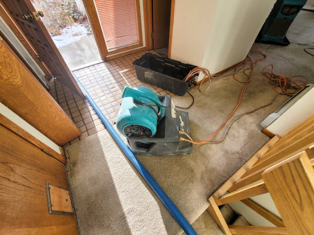 Best Flood damage cleanup  in Somerset, TX