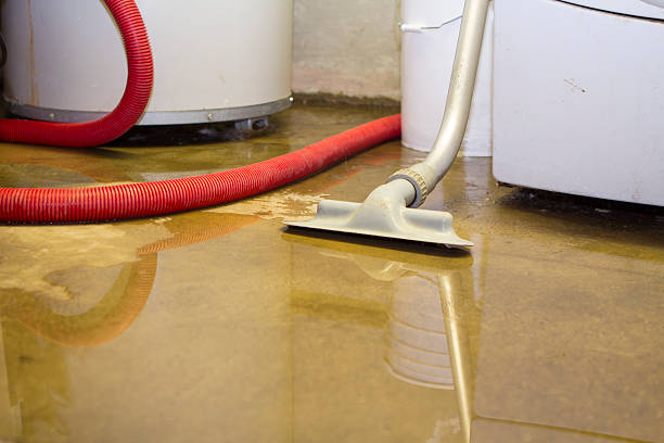 Best Emergency water extraction  in Somerset, TX